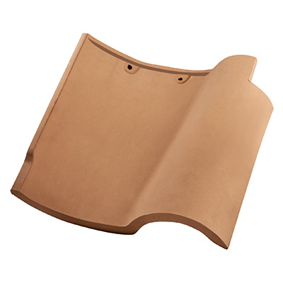 S521�׻�ɫʪѹ����