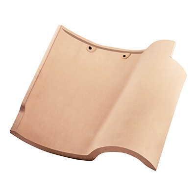 S521�׻�ɫʪѹ����