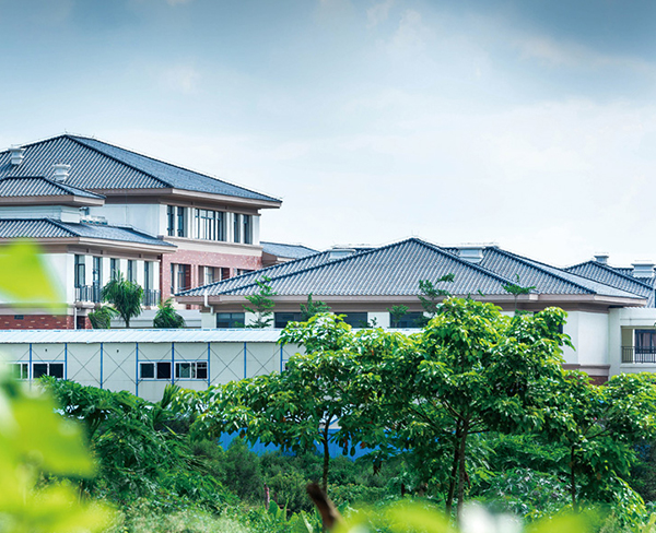 ���� 310X310mm