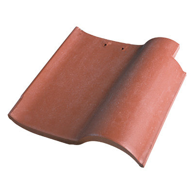 X3123 �Ⱥ�����