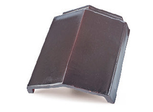 P5 ���� Ridge tile