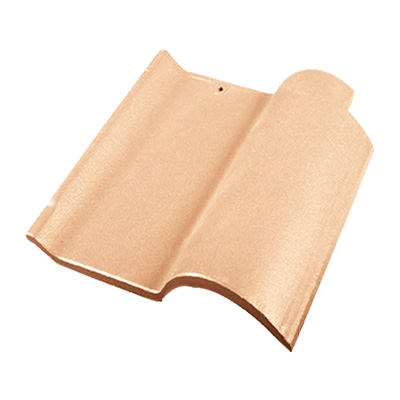 X2621 �׻�ɫ����