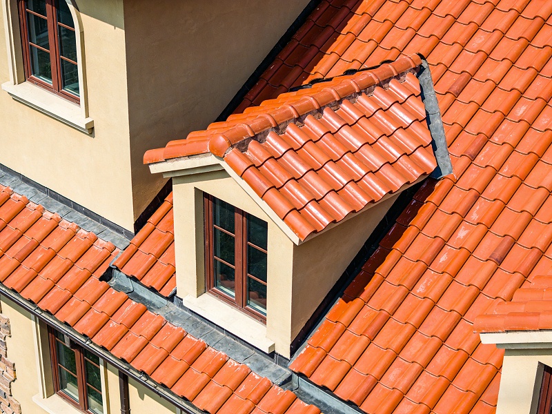 �����������ݶ�ͼƬ (15) ����