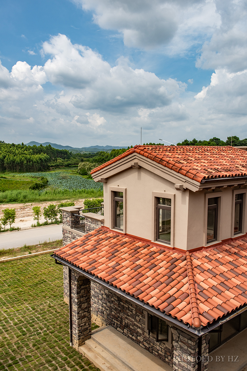 ������������������������