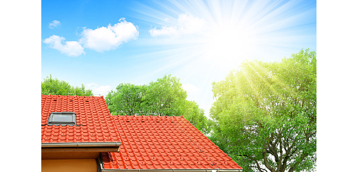 ��֬��Ϊʲô����ȡ���ʸ���