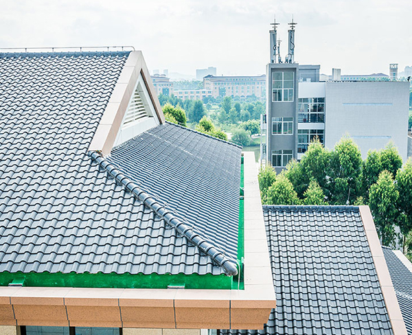 ����������ʲô��ɫ������Ŀ