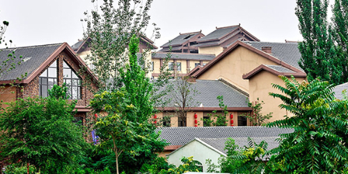 ������������ȪС�� ����310X310mm