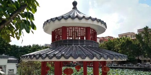 �¹�����������������