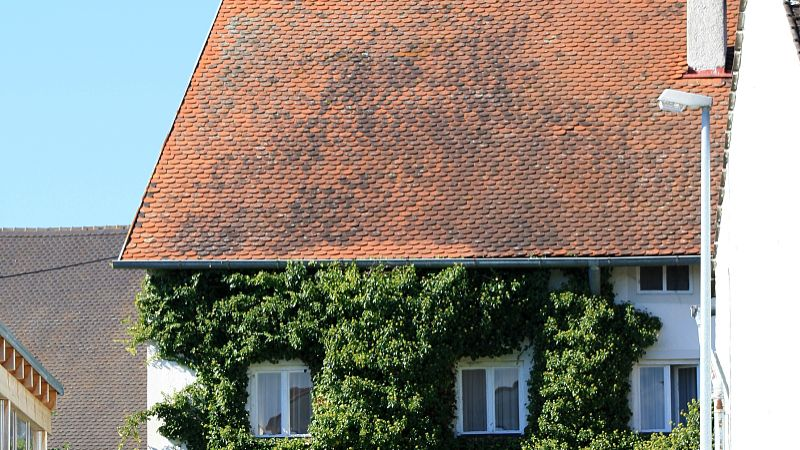 ΢��ͼƬ_20220420142138